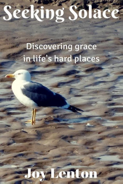 Seeking Solace: Discovering Grace In Life's Hard Places