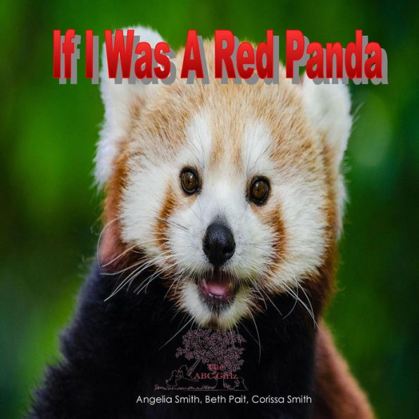 If I Was A Red Panda (Bright)