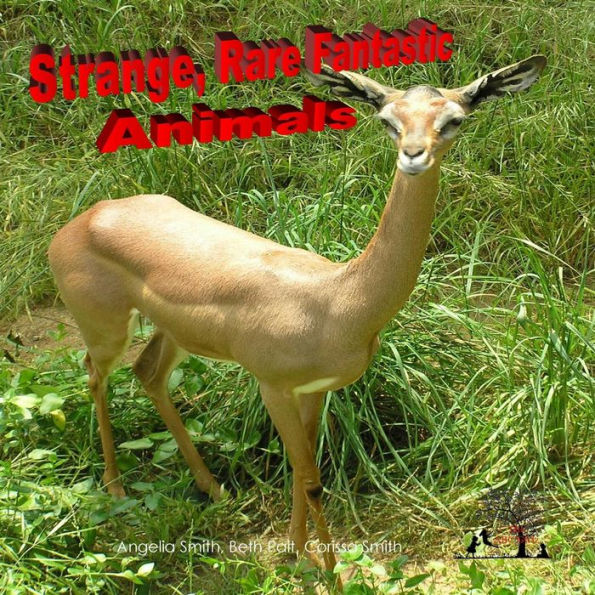 Strange Rare Fantastic Animals (Bright)