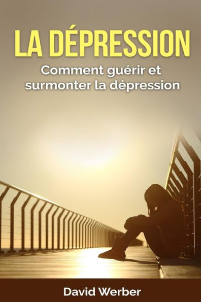 La D?pression: Comment Gu?rir Et Surmonter La D?pression (French Edition)