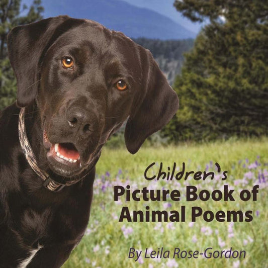 Children's Picture Book Of Animal Poems