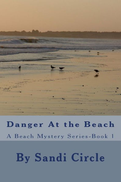Danger At The Beach