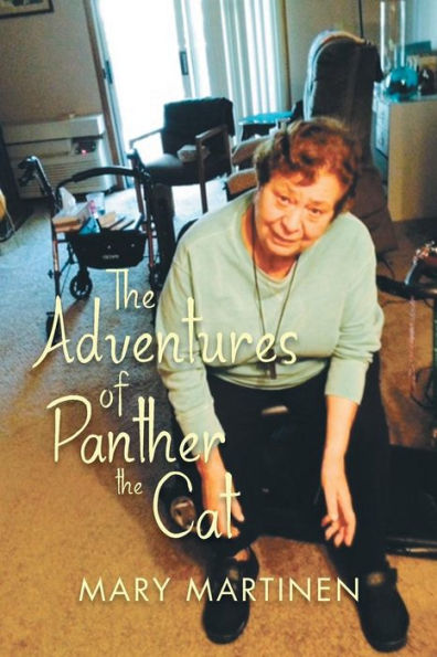 The Adventures Of Panther The Cat: Pet Visits