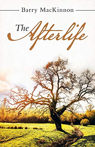 The Afterlife (Paperback)