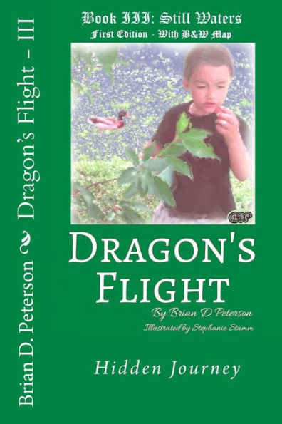 Dragon's Flight - Iii: Still Waters