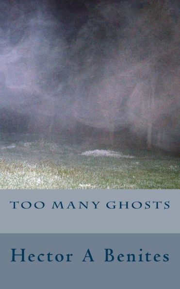 Too Many Ghosts - 9781532777080
