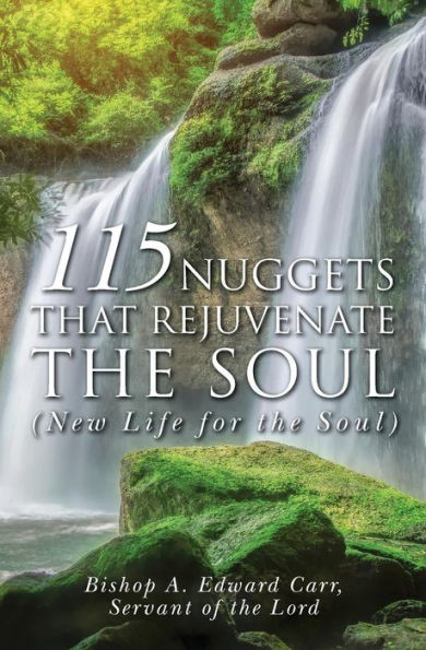 115 Nuggets That Rejuvenate The Soul (New Life For The Soul)