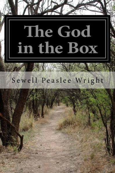 The God In The Box