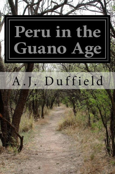 Peru In The Guano Age - 9781532839795