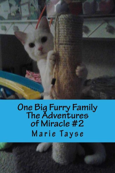 One Big Furry Family (The Adventures Of Miracle)