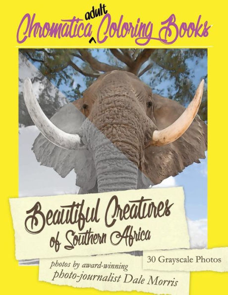 Beautiful Creatures Of Southern Africa: An Adult Coloring Book Featuring The Most Beautiful Creatures That Reside In Southern Africa (Chromatica Coloring Books) (Volume 2)