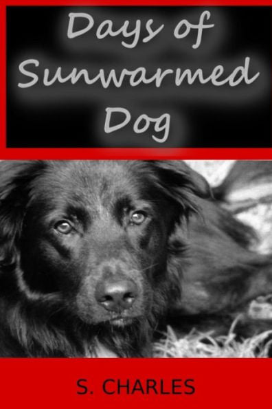 Days Of Sunwarmed Dog: Poems About Jack (Dog Days)