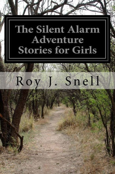 The Silent Alarm Adventure Stories For Girls
