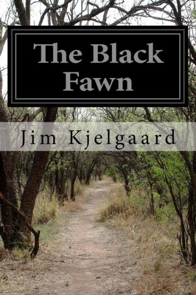 The Black Fawn - 9781532979903