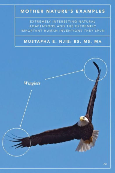 Mother Nature's Examples: Extremely Interesting Natural Adaptations And The Extremely Important Human Inventions They Spun