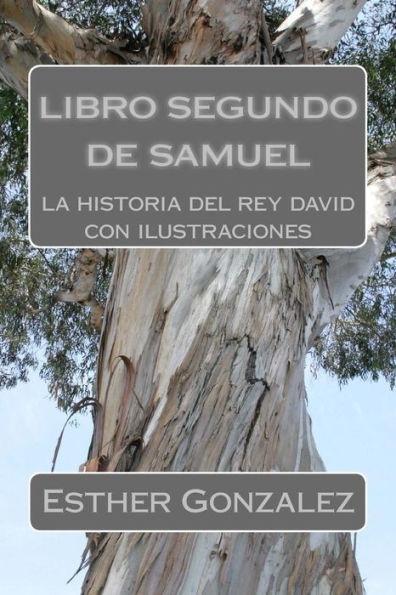 Libro Segundo De Samuel: La Historia Del Rey David (Galician Edition)