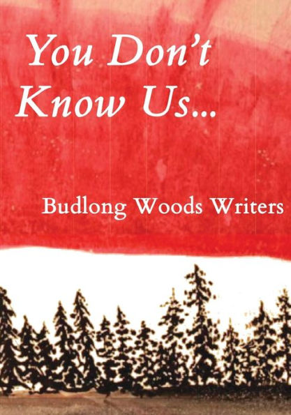 You Don't Know Us...: Budlong Woods Writers (Budlong Woods Workshop Writers)