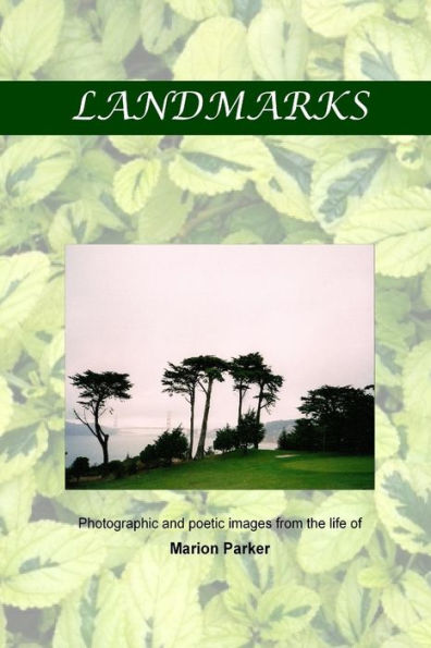 Landmarks: Photographic And Poetic Images