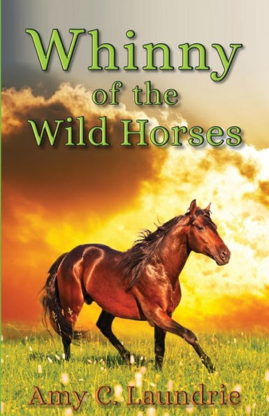 Whinny Of The Wild Horses