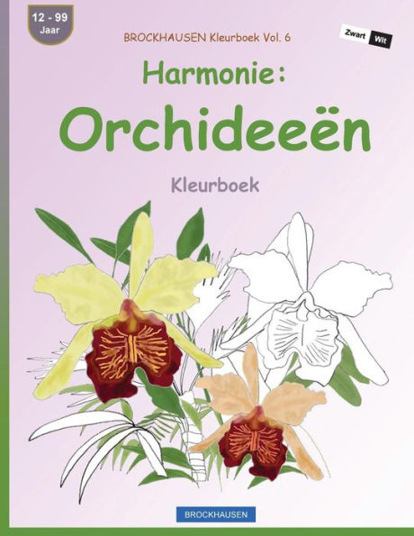 Brockhausen Kleurboek Vol. 6 - Harmonie: Orchideeën: Kleurboek (Dutch Edition)