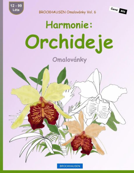Brockhausen Omalovánky Vol. 6 - Harmonie: Orchideje: Omalovánky (Czech Edition)