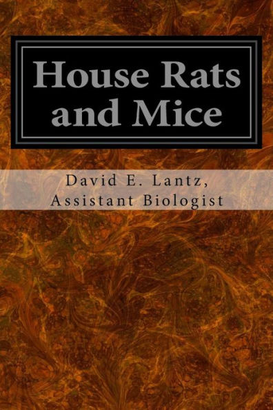 House Rats And Mice