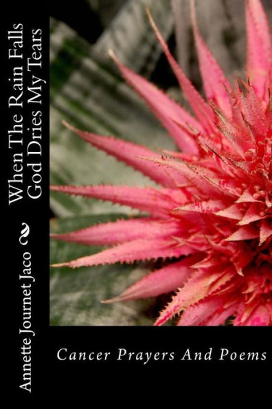 When The Rain Falls God Dries My Tears: Cancer Prayers And Poems