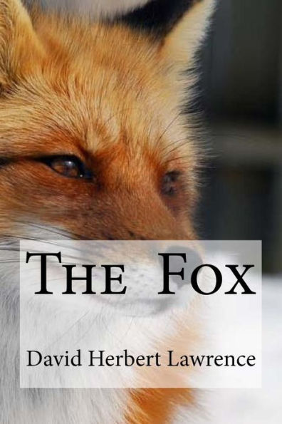 The Fox - 9781533477118