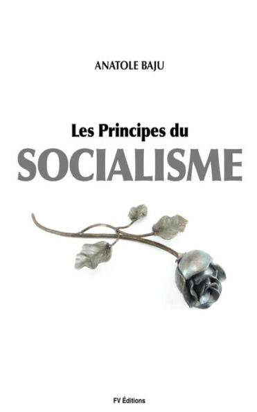Les Principes Du Socialisme (French Edition)
