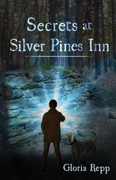 Secrets At Silver Pines Inn