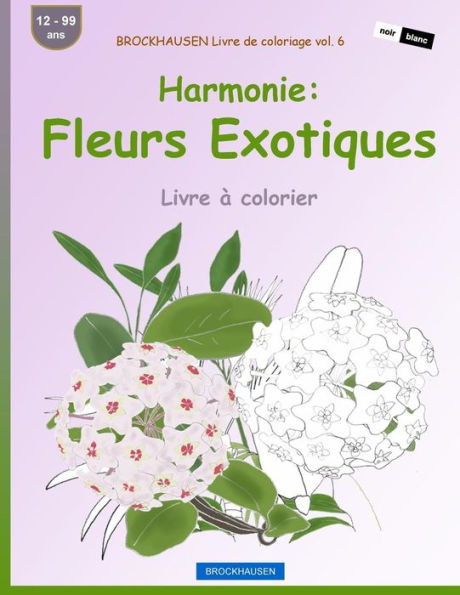 Brockhausen Livre De Coloriage Vol. 6 - Harmonie: Fleurs Exotiques: Livre À Colorier (French Edition)