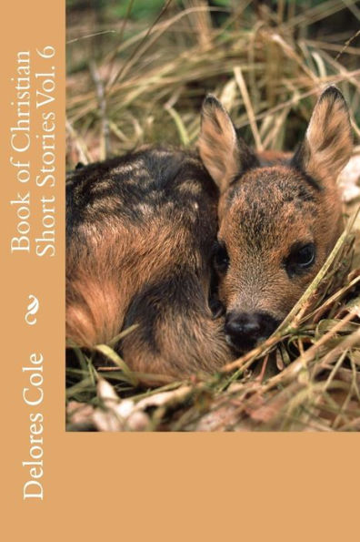 Book Of Christian Short Stories Vol. 6
