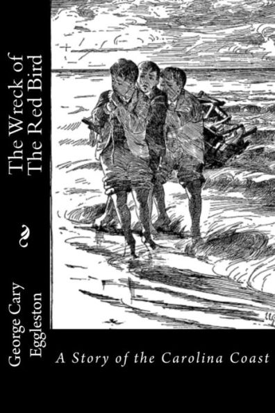 The Wreck Of The Red Bird: A Story Of The Carolina Coast