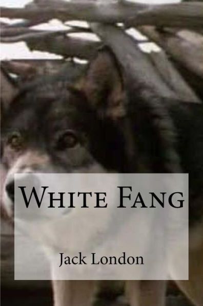 White Fang - 9781533634740