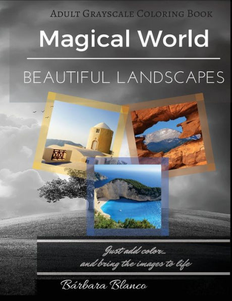 Magical World Beautiful Landscapes: Adult Grayscale Coloring Book