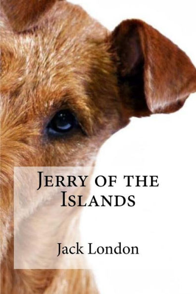 Jerry Of The Islands - 9781533698636