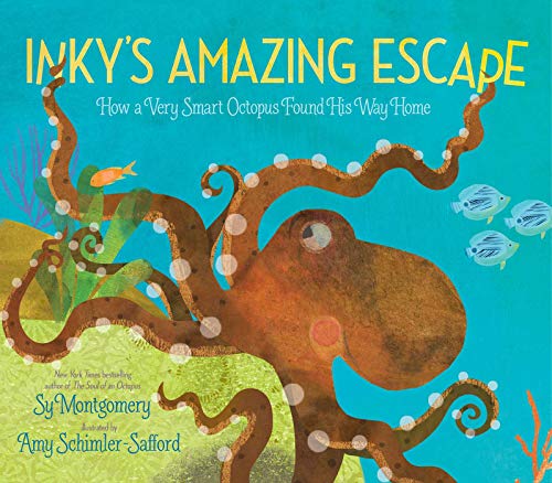 Inky's Amazing Escape: How a Very Smart Octopus Found His Way Home (Paperback)