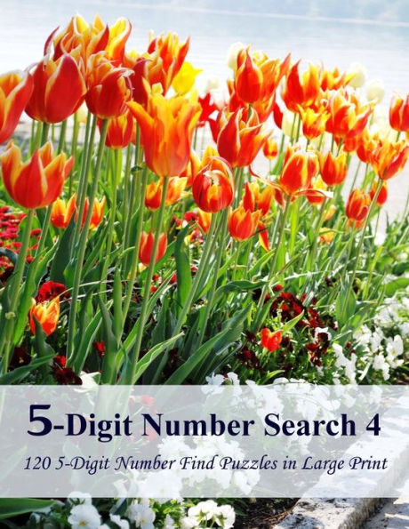 5-Digit Number Search 4: 120 5-Digit Number Find Puzzles In Large Print