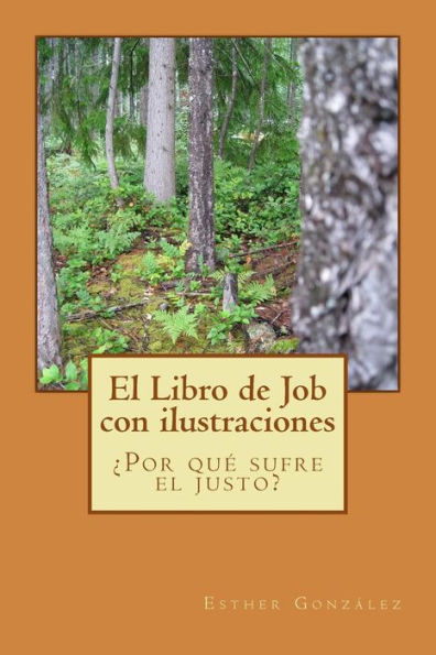 El Libro De Job Con Ilustraciones: ¿Por Qué Sufre El Justo? (Galician Edition)