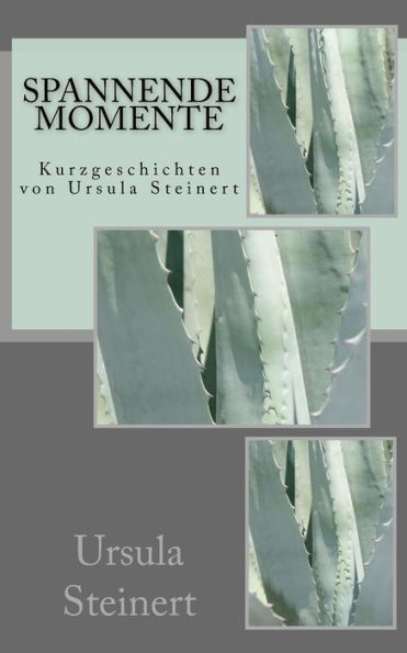 Spannende Momente: Kurzgeschichten Von Ursula Steinert (German Edition)