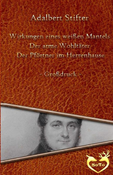 Drei Geschichten - Großdruck: Wirkungen Eines Weißen Mantels - Der Arme Wohltater - Der Pförtner Im Herrenhause (German Edition)