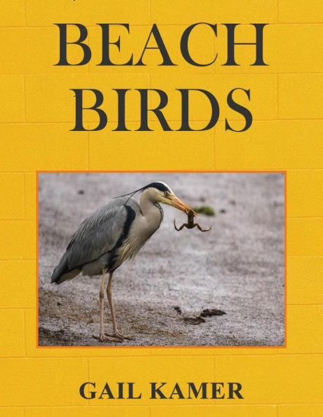 Beach Birds - 9781534806139