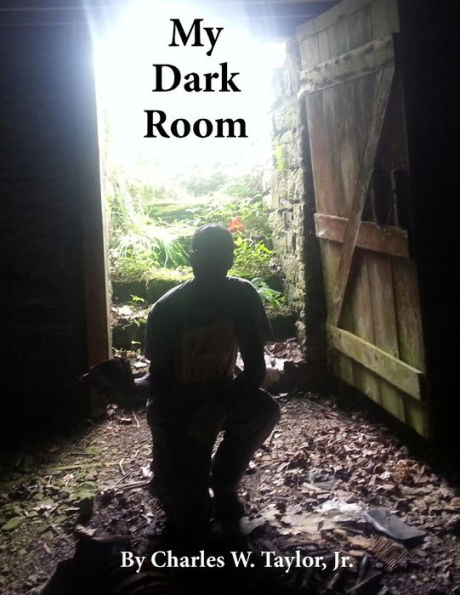 My Dark Room (Adifferentkindofstorybook.Com)