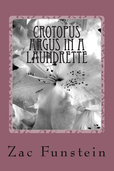 Crotopus Argus In A Laundrette