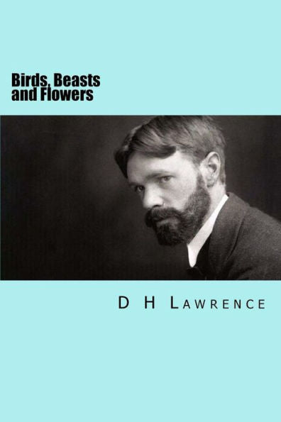 Birds, Beasts And Flowers - 9781535044882