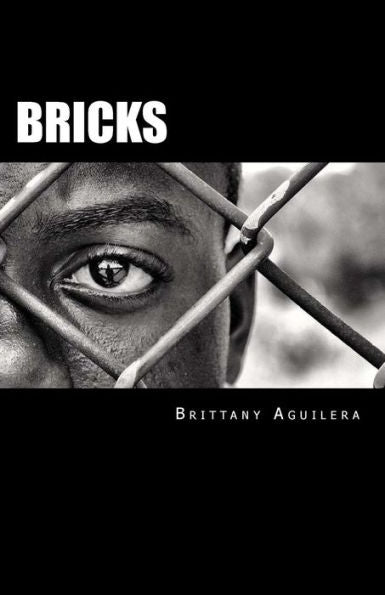 Bricks - 9781535118125