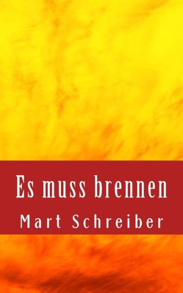 Es Muss Brennen: Geschichten Zu Den Themen Asyl Und Culture Clash (German Edition)