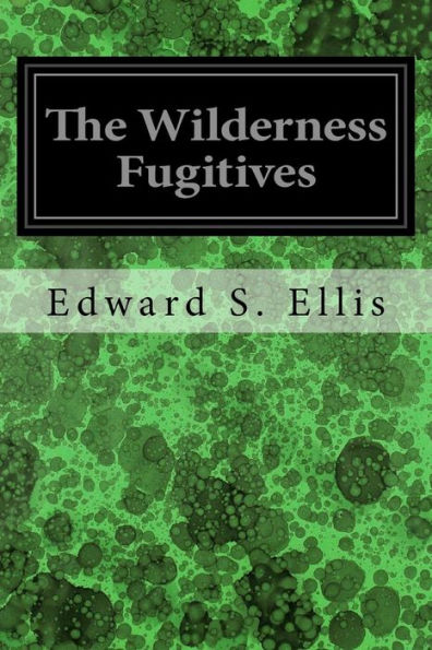 The Wilderness Fugitives - 9781535231961