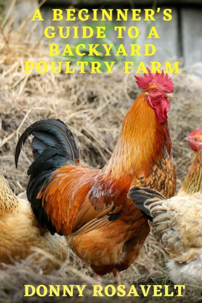 A Beginners Guide To A Backyard Poultry Farm