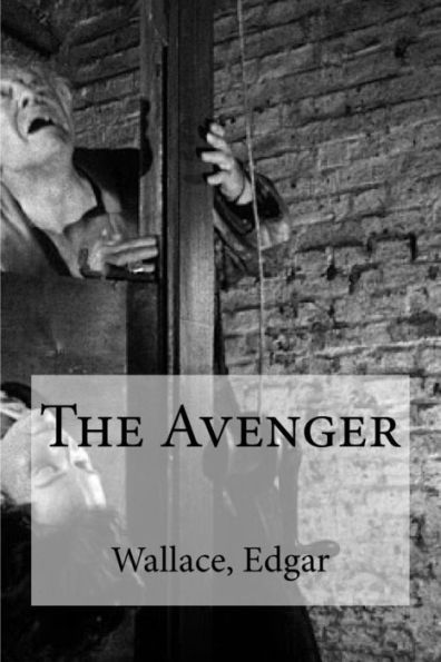 The Avenger - 9781535309172